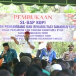 Kembalikan Kejayaan Kopi Robusta Tangse, Bupati Pidie Buka Sekolah Lapang