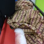 Pulang dari Kebun, Seorang Warga Pidie Diamuk Gajah Liar