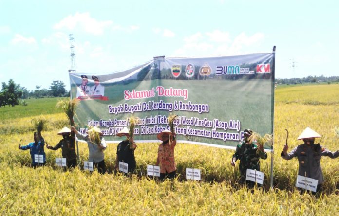 c4aeae3a-13ec-4907-9e5b-06aa7902b9c9