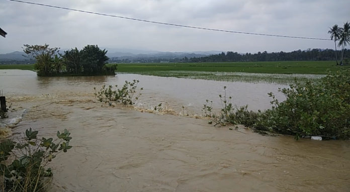 CB3ABA6D-A2B5-44F8-AC3A-45AC210A6AC2