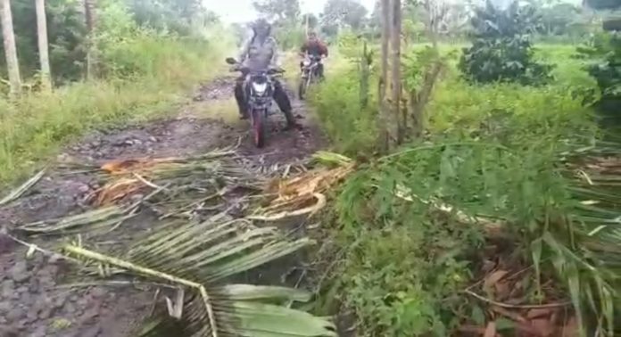 IMG_20210109_143049-1024x597