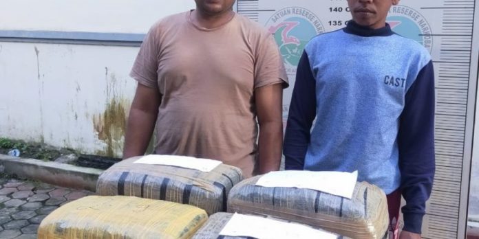 InkedWhatsApp-Image-2021-01-29-at-17.58.06_LI-880x440