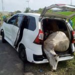 Tiga Pencuri Ternak Sapi Ditangkap di Pidie