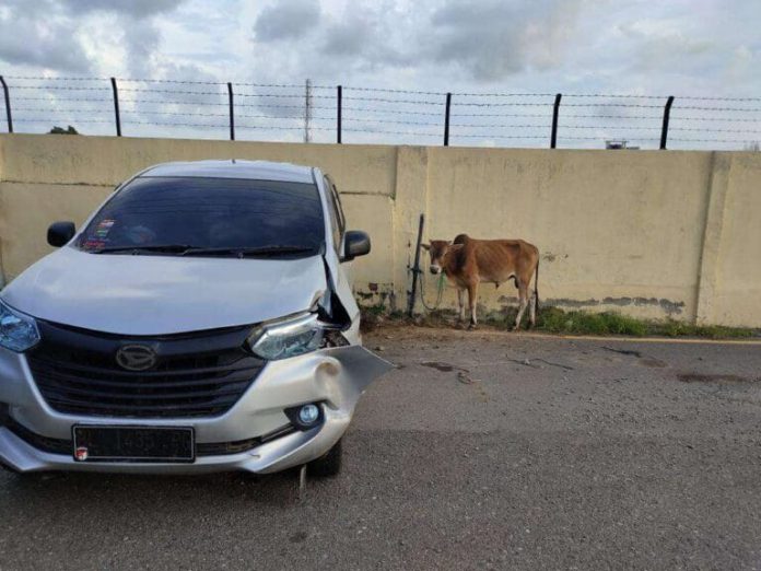 WhatsApp Image 2021-05-05 at 5.54.07 PM