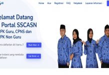 Pemerintah Aceh Buka 370 Formasi dan 5.218 Guru PPPK pada CPNS 2021, Berikut Syaratnya