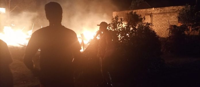 WhatsApp Image 2021-08-04 at 11.56.43 AM