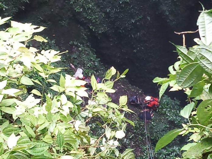 WhatsApp Image 2021-08-16 at 23.50.14