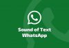Sound of Text WA