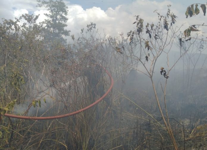 WhatsApp Image 2021-10-16 at 14.12.56