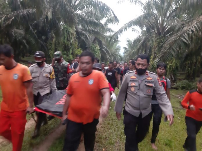 WhatsApp Image 2021-11-08 at 23.48.22