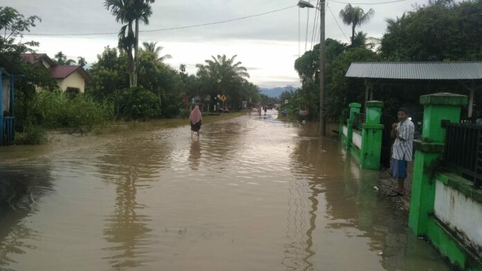 WhatsApp_Image_2021-12-21_at_09.59_.27_