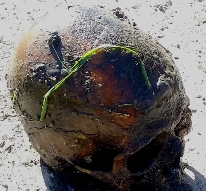 20220128-tenkorak-manusia-di-aceh-tengah_2