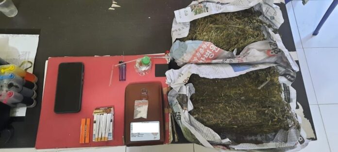 c0de508c-0f15-4169-8144-d6afa42d641d