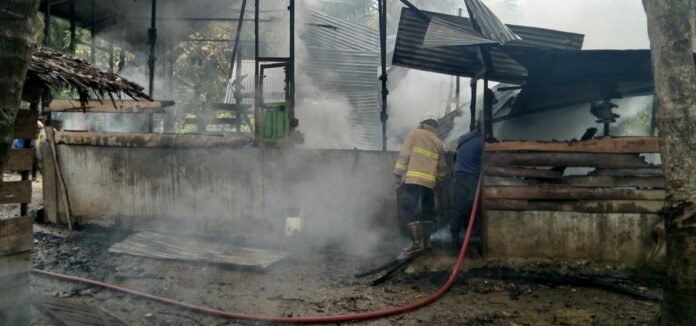 0a3e3731-07b6-4751-bbe2-a2e45a6e7e06