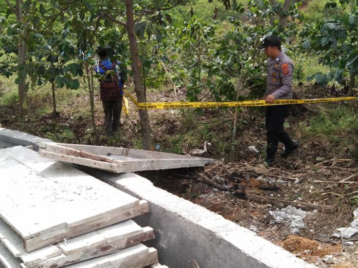 36a1d859-7d3b-4c24-9044-26baec996ccb