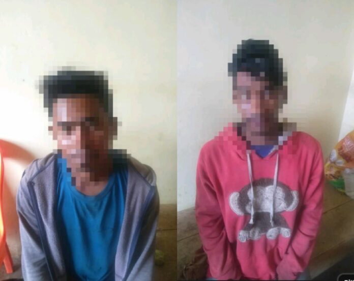 41521540-3f97-4737-88ab-8f19455fa20c