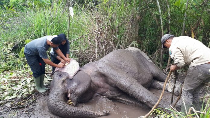 0ab8ef26-5604-4870-855d-71724754c85d