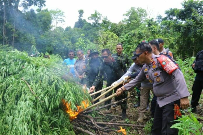 161278F9-5FDE-435C-904A-0B66E3F58556-768x512