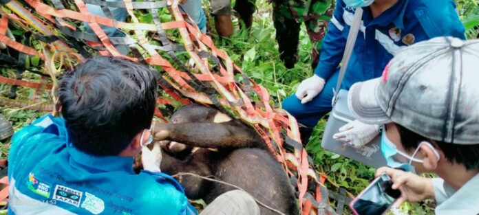 53c5961e-bd56-498f-8038-197f1e8ed835