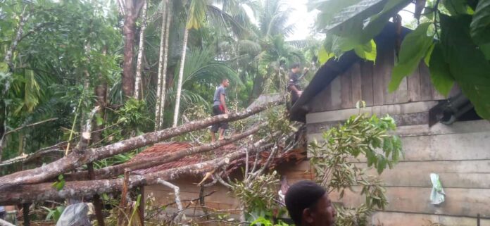 88516f28-94e2-4868-8a6e-7f27521fdfe4