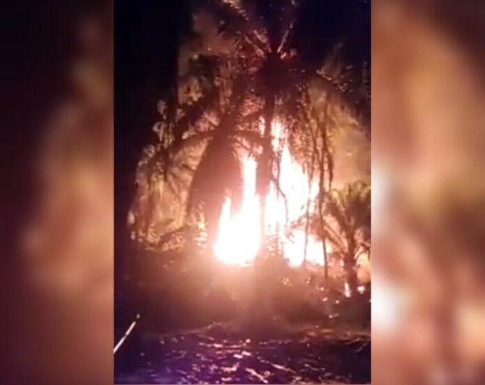 Editor_2_20220312010731