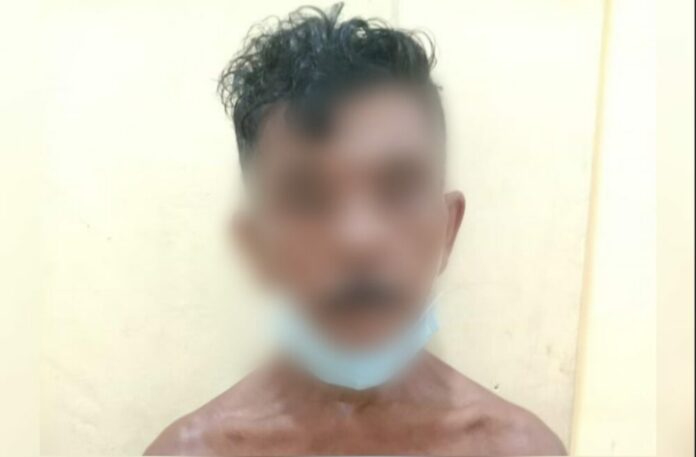 Editor_2_20220325215002