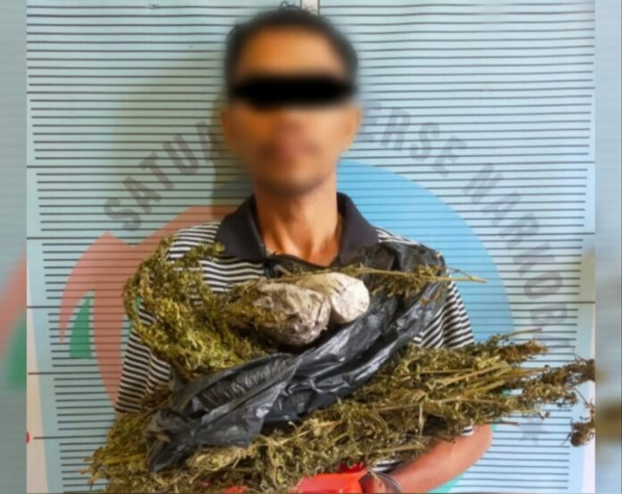 Editor_2_20220325230653