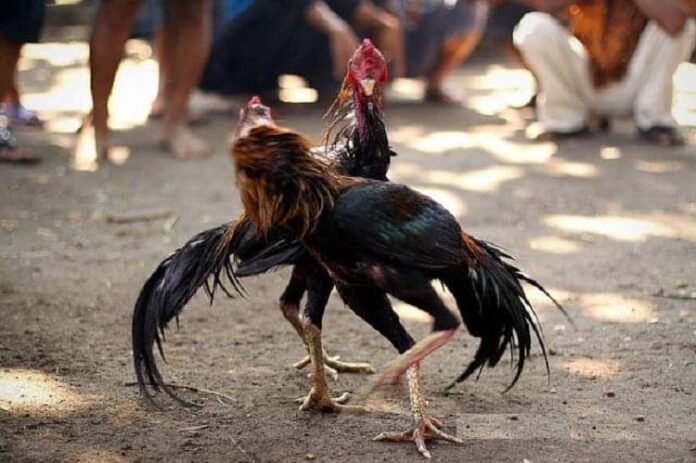 FB_IMG_1615979976783