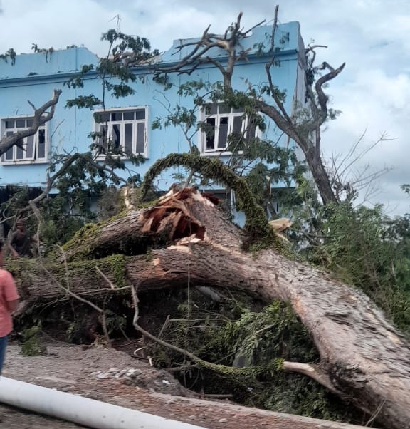 IMG-20220325-WA0020_1