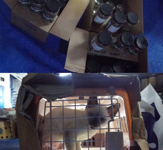 Screenshot_20220309-230414_2