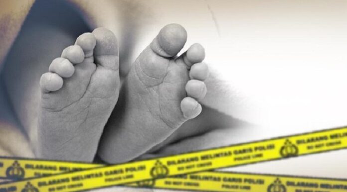 ad74c05f-f503-42fe-812b-0e539c1e0926_169