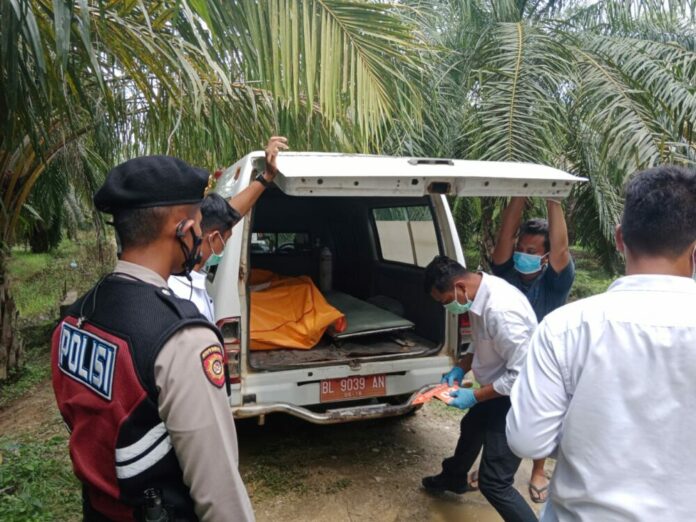 f2039132-4bf0-4e1b-8984-abca61733e5a