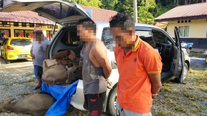 2181c4c0-325c-43dc-a745-9f559a7c172f