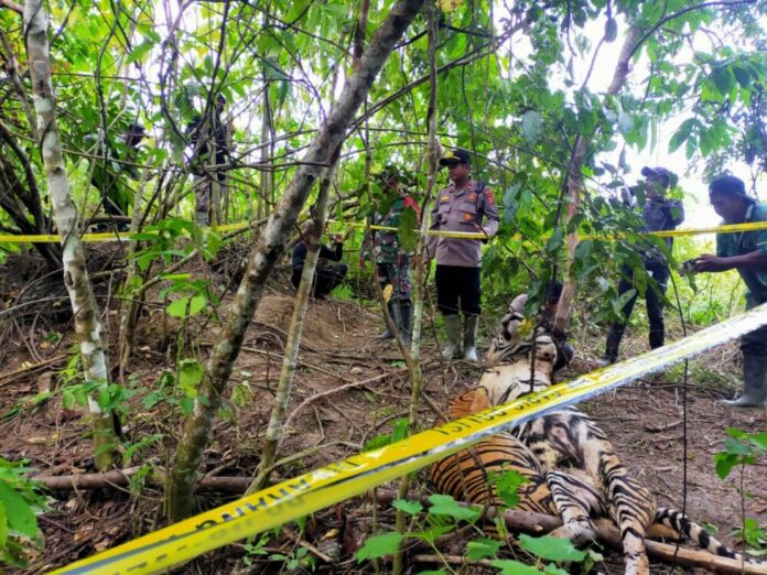 6a84b543-76ab-416e-b924-84b8f065d4bc