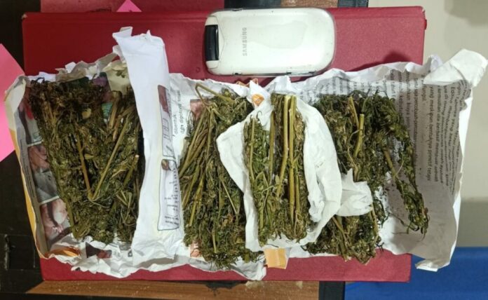 a73b7f7a-af71-4a67-819d-5544c4dad38a