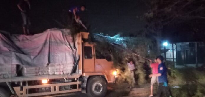 d6ee90ad-1a98-4ad3-9980-3b77302140e1