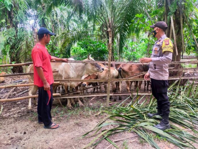 66a377f5-491f-4d42-89ef-4fcfab258d35