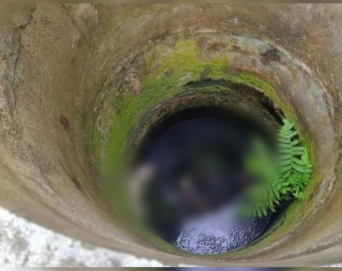 Editor_2_20220503204648