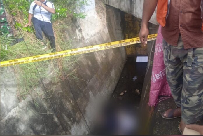 Editor_2_20220505154547_1