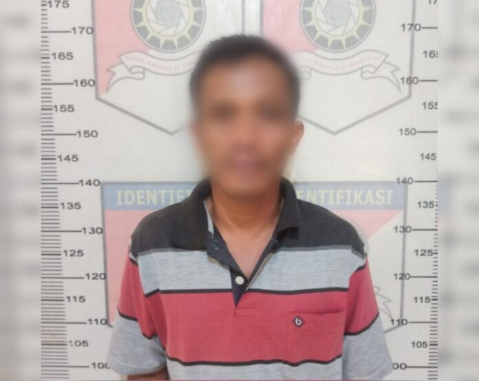 Editor_2_20220512135437