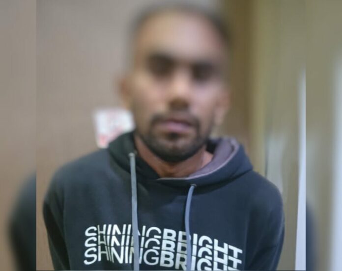 Editor_2_20220513202121