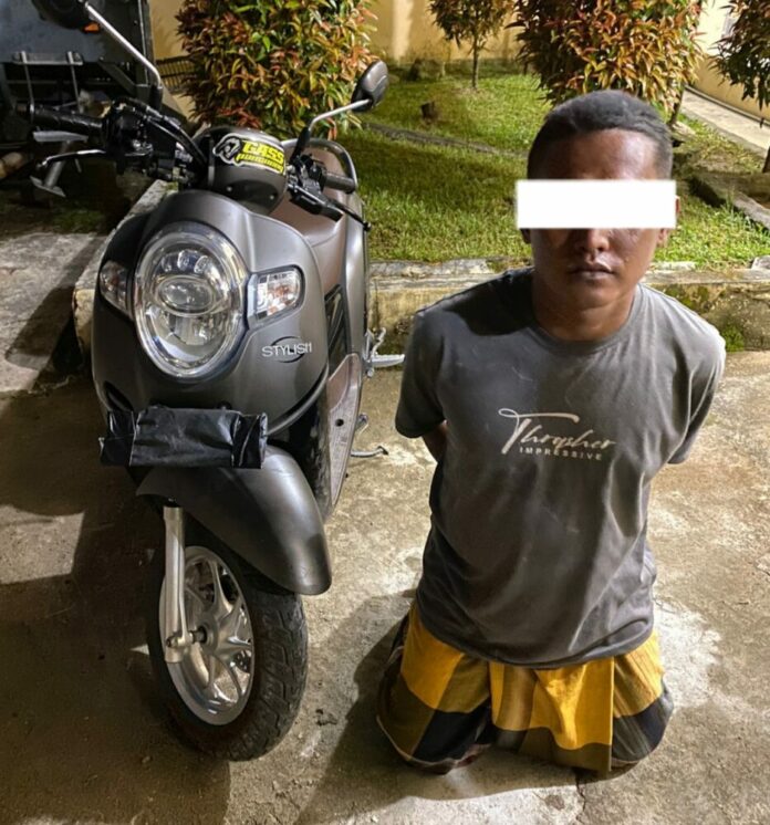 IMG-20220525-WA0028_1