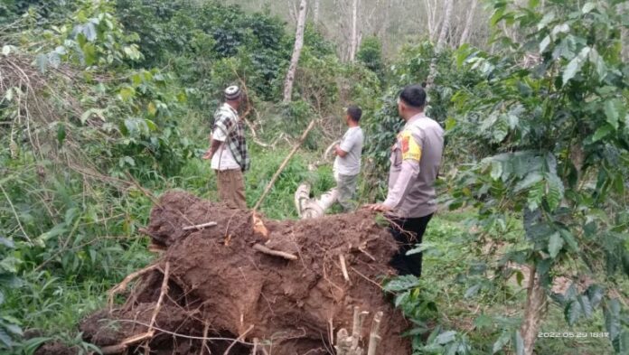 IMG-20220529-WA0069-768x434