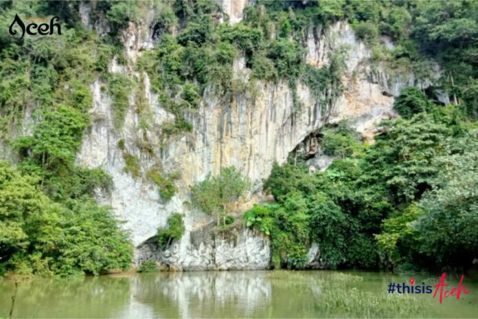 49d72ce20e52fe6d212dfa82fc135f45