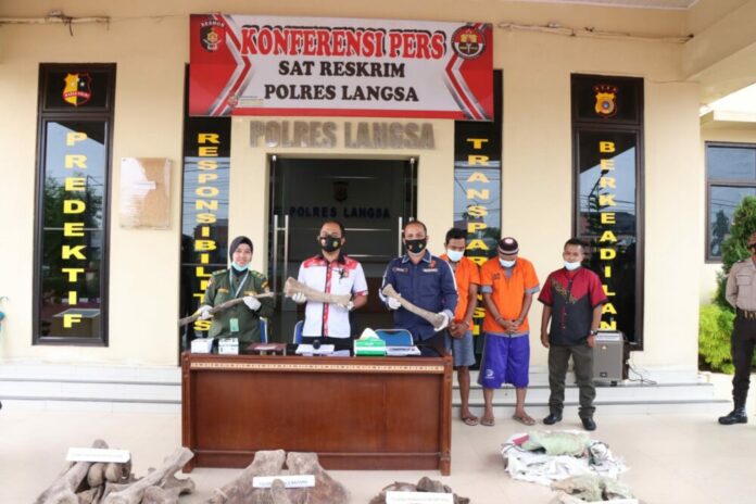 c6a5013bc4552938cae778798abe4a5d