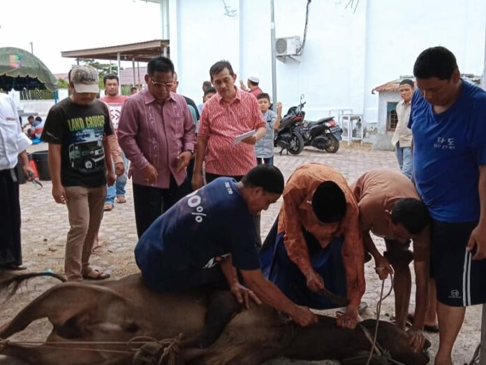 a235c61a4f3ac9b9d8369a08a42e9b98