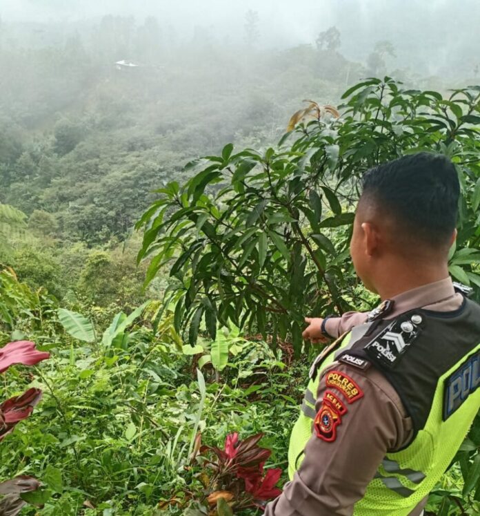 a95d1595d49018c2e540af1906fdea8c