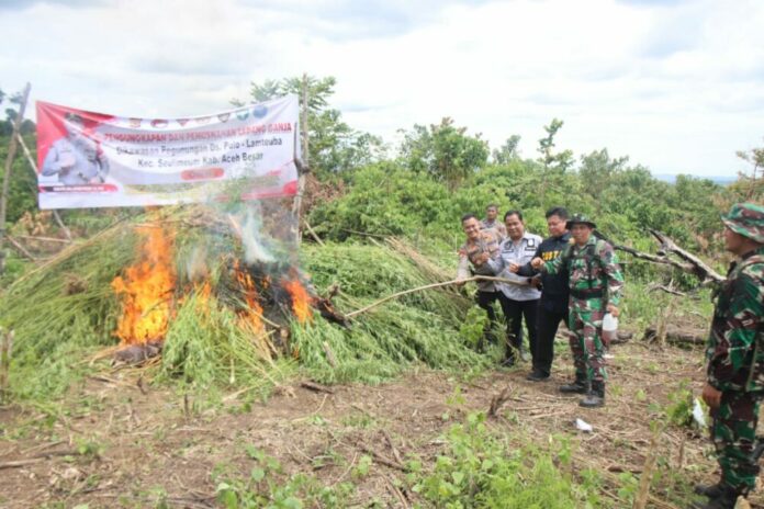 d9b9e8acd0fa3770e48fd04c1e878452