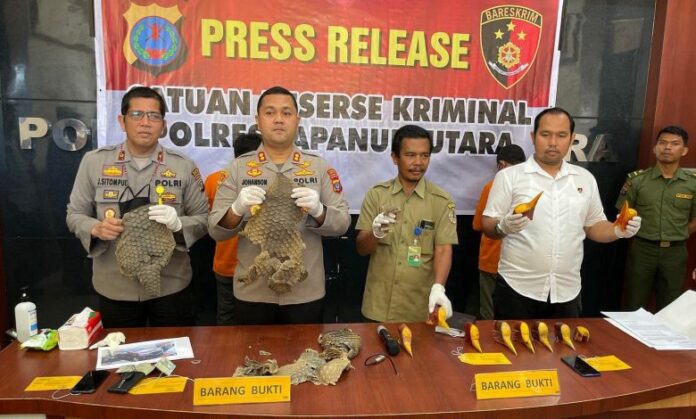 0ad3927d0f4396bb263ed0d516595856