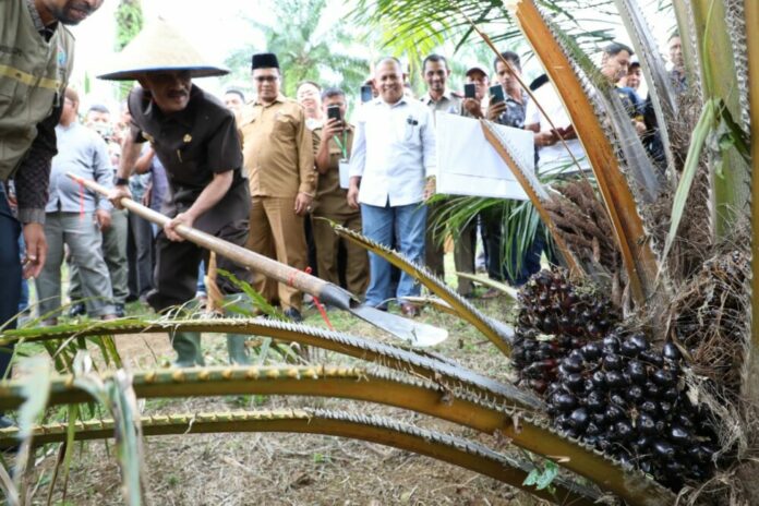 28acf0eaba72bde944f9acd1c6fcd144